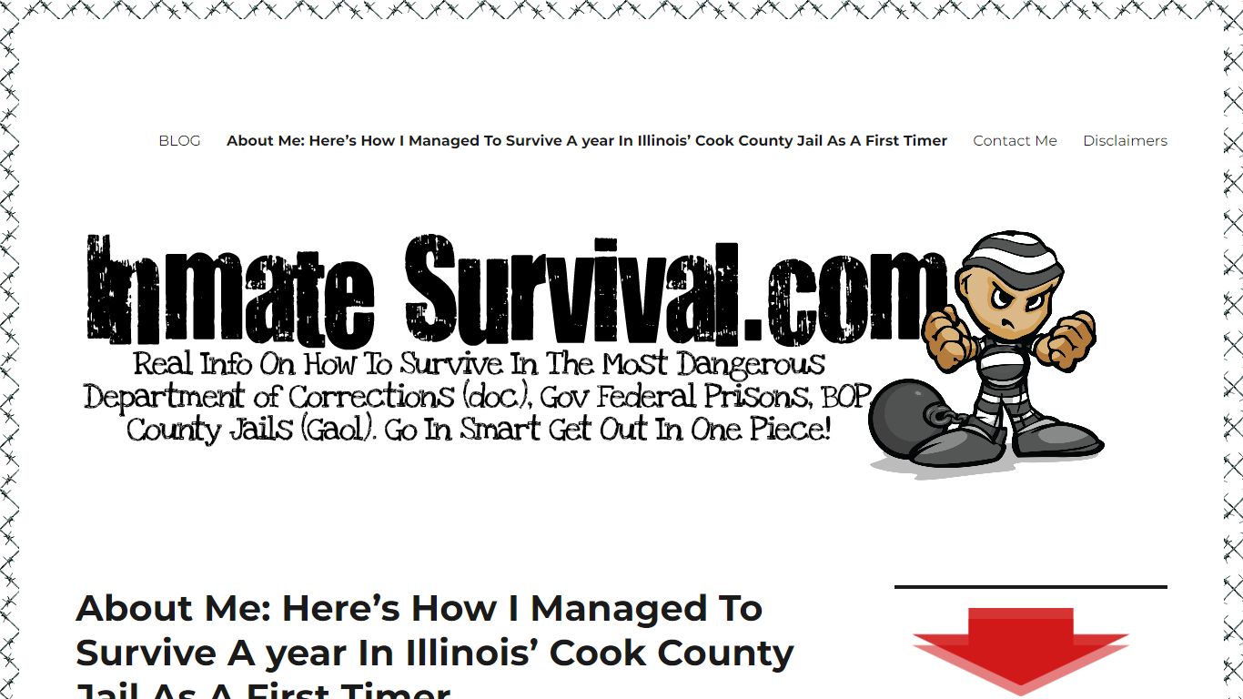 About Me: Here’s How I Managed To Survive A year In Illinois’ Cook ...